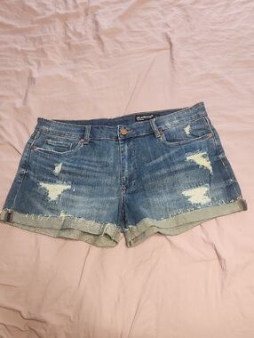 Stitch Fix BlankNYC Distressed Jean Shorts